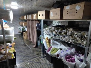 冷库安装公司，江西冷库安装，上海冷库安装，冷库建造工厂