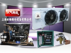 冷库安装公司，江西冷库安装，上海冷库安装，冷库建造工厂